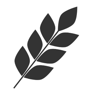 grain