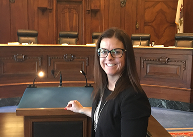 illinois supreme court