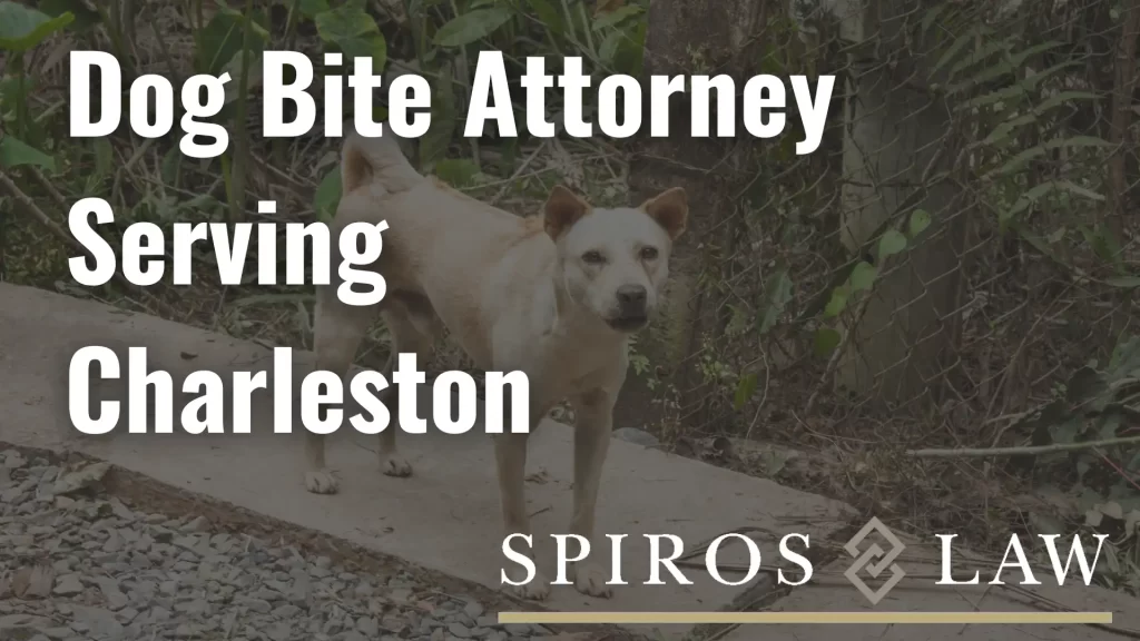 Dog Bite Attorney Serving Charleston