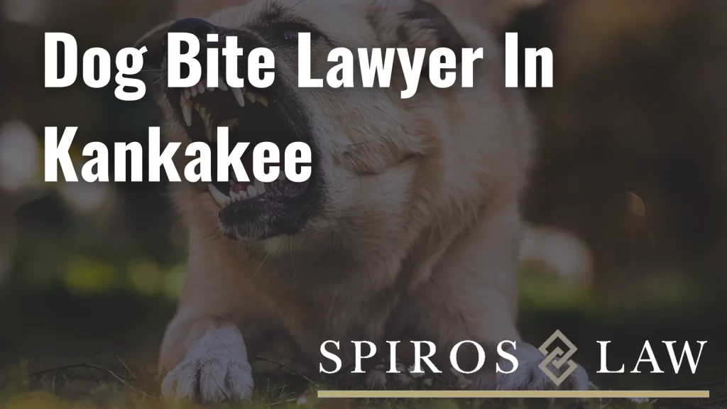 Dog Bite Lawyer In Kankakee